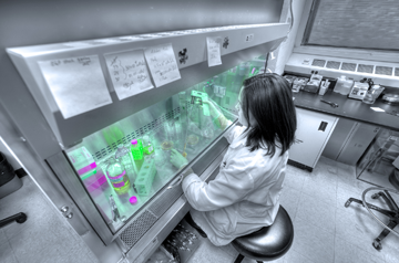 Scientist working in the lab