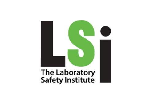 LSI logo